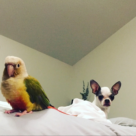 Meet your Posher, Rikki! - Picture 11 of 11